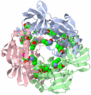 Image Asym. Unit - sites