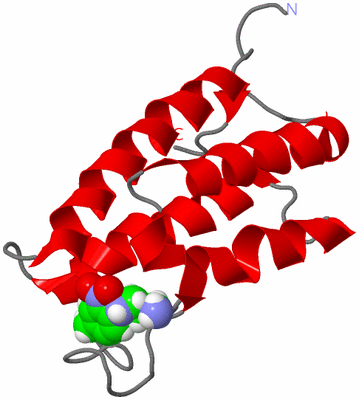 Image NMR Structure - model 1