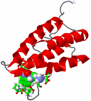 Image NMR Structure - model 1, sites