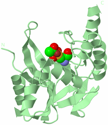 Image Biological Unit 2