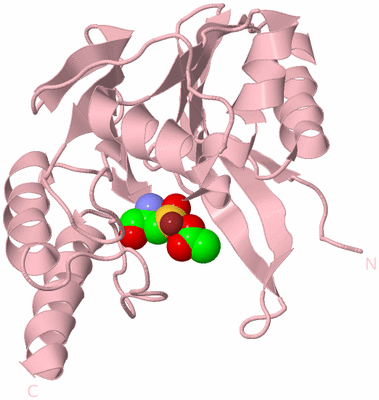 Image Biological Unit 3