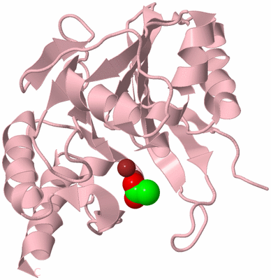 Image Biological Unit 3