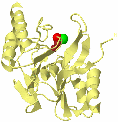 Image Biological Unit 4