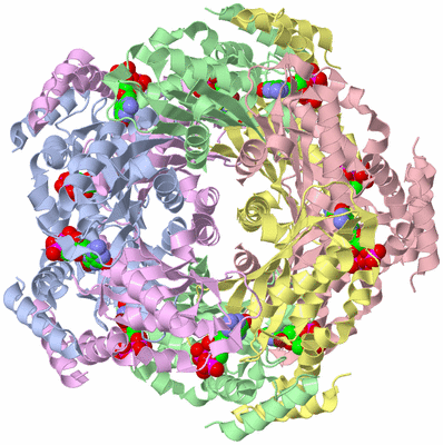 Image Biological Unit 1