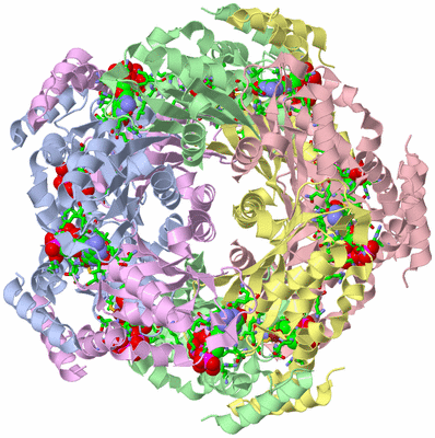 Image Biol. Unit 1 - sites