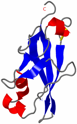 Image NMR Structure - model 1