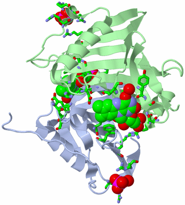 Image Asym./Biol. Unit - sites