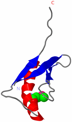 Image Asymmetric Unit