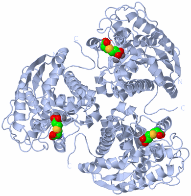 Image Biological Unit 1