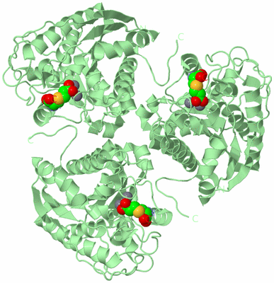 Image Biological Unit 2