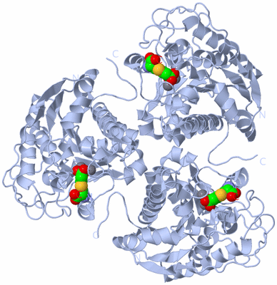 Image Biological Unit 1