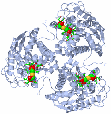 Image Biol. Unit 1 - sites