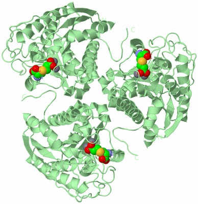 Image Biological Unit 2