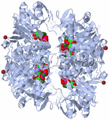 Image Biological Unit 1