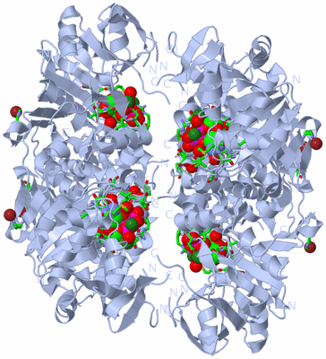 Image Biol. Unit 1 - sites