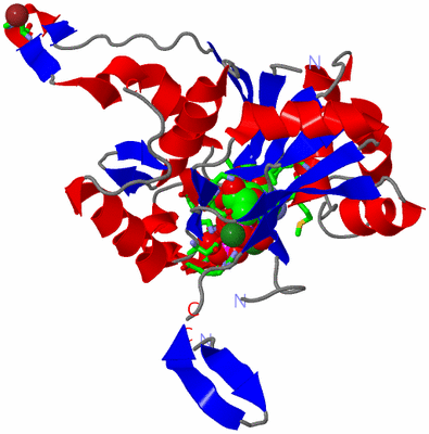 Image Asym. Unit - sites