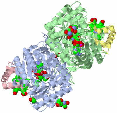 Image Asym./Biol. Unit