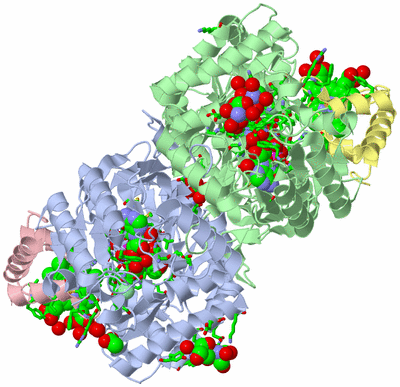 Image Asym./Biol. Unit - sites