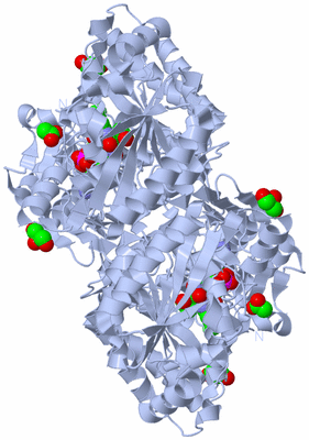 Image Biological Unit 1