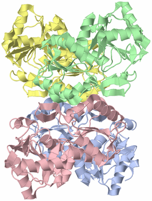 Image Asym./Biol. Unit