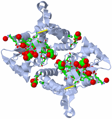 Image Biol. Unit 1 - sites