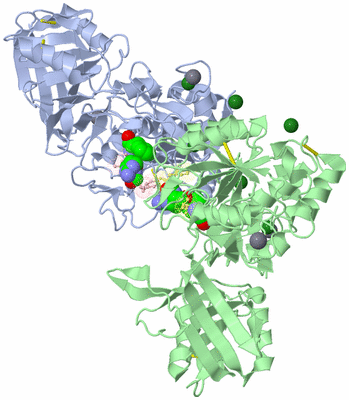 Image Biological Unit 1