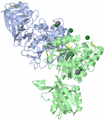 Image Biological Unit 2