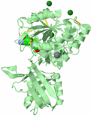 Image Biological Unit 3