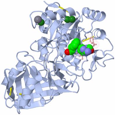 Image Biological Unit 4