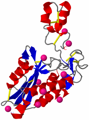 Image Asymmetric Unit