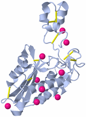 Image Biological Unit 1