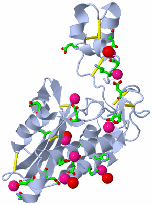 Image Biol. Unit 1 - sites