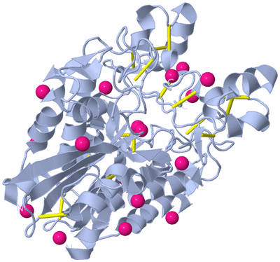 Image Biological Unit 2