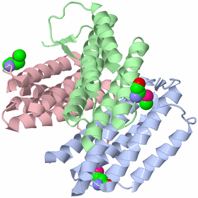 Image Asym./Biol. Unit