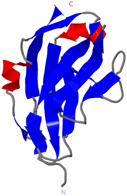 Image NMR Structure - model 1