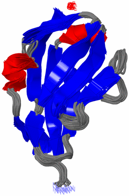 Image NMR Structure - all models