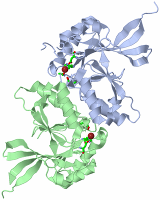 Image Asym./Biol. Unit - sites