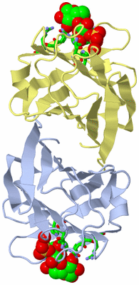 Image Biol. Unit 1 - sites