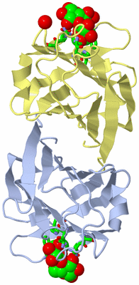 Image Biol. Unit 1 - sites