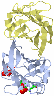 Image Biol. Unit 1 - sites