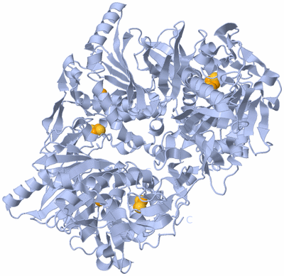 Image Biological Unit 1