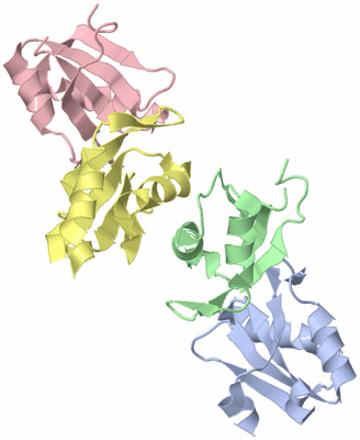 Image Asym./Biol. Unit