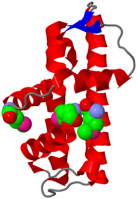 Image Asymmetric Unit