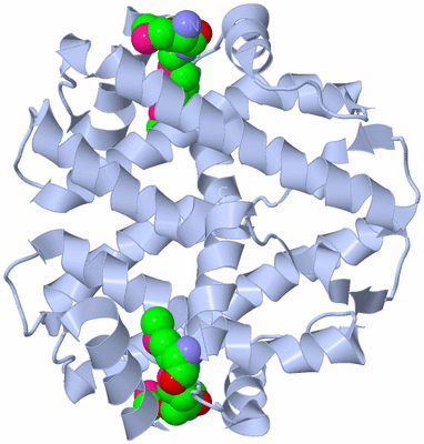 Image Biological Unit 2