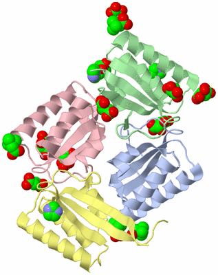 Image Asym./Biol. Unit