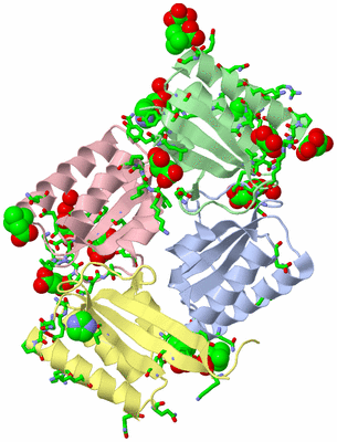 Image Asym./Biol. Unit - sites