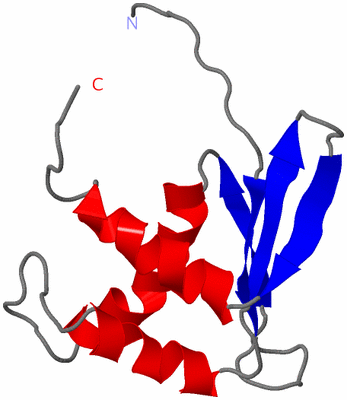 Image NMR Structure - model 1