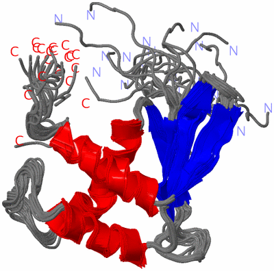 Image NMR Structure - all models