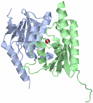 Image Biological Unit 1