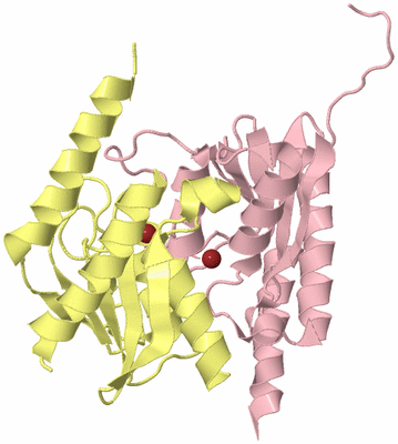 Image Biological Unit 2